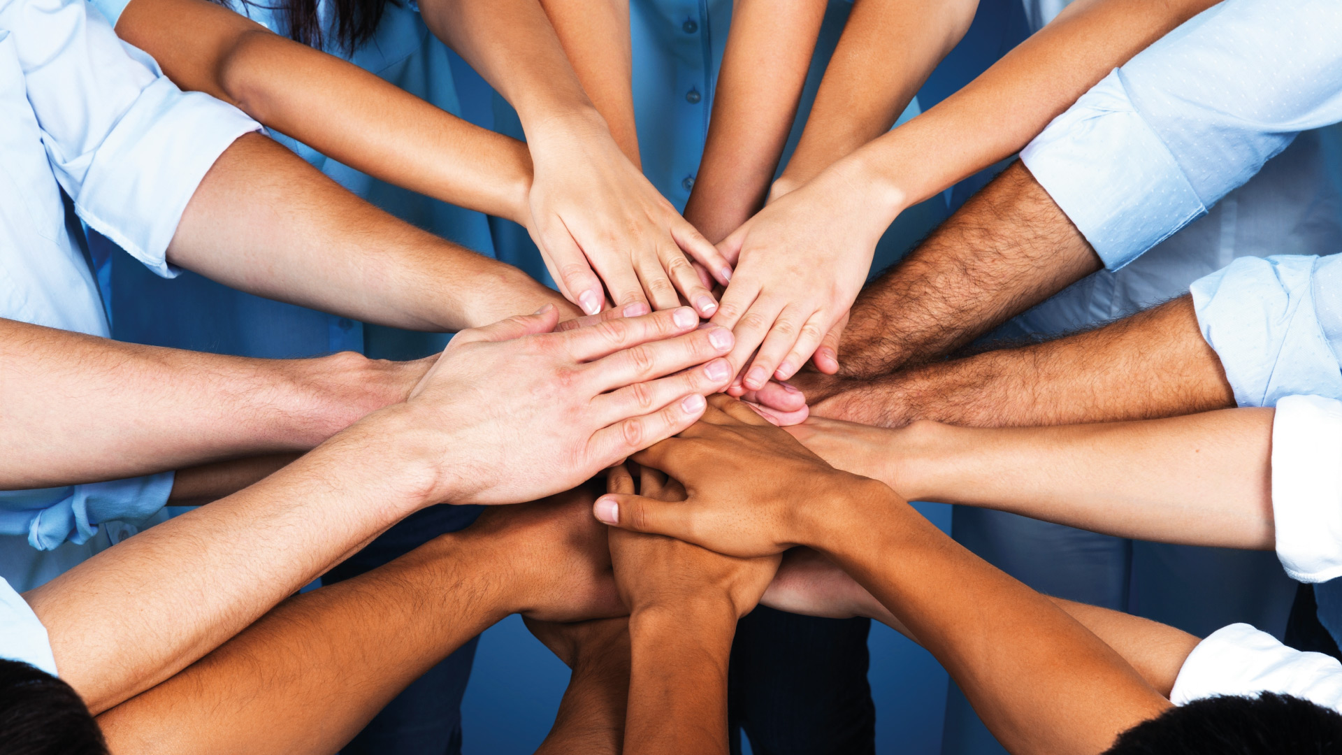 Zech GmbH Partnerschaften